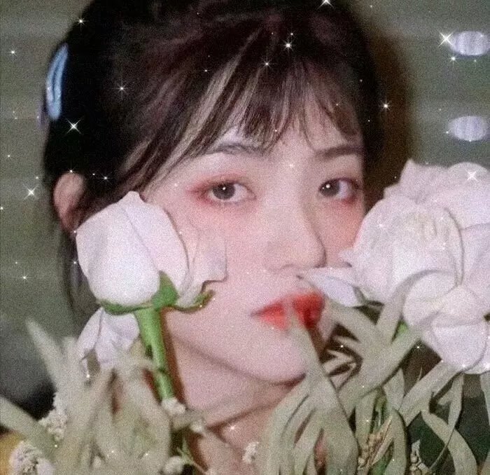 小花仙第三季